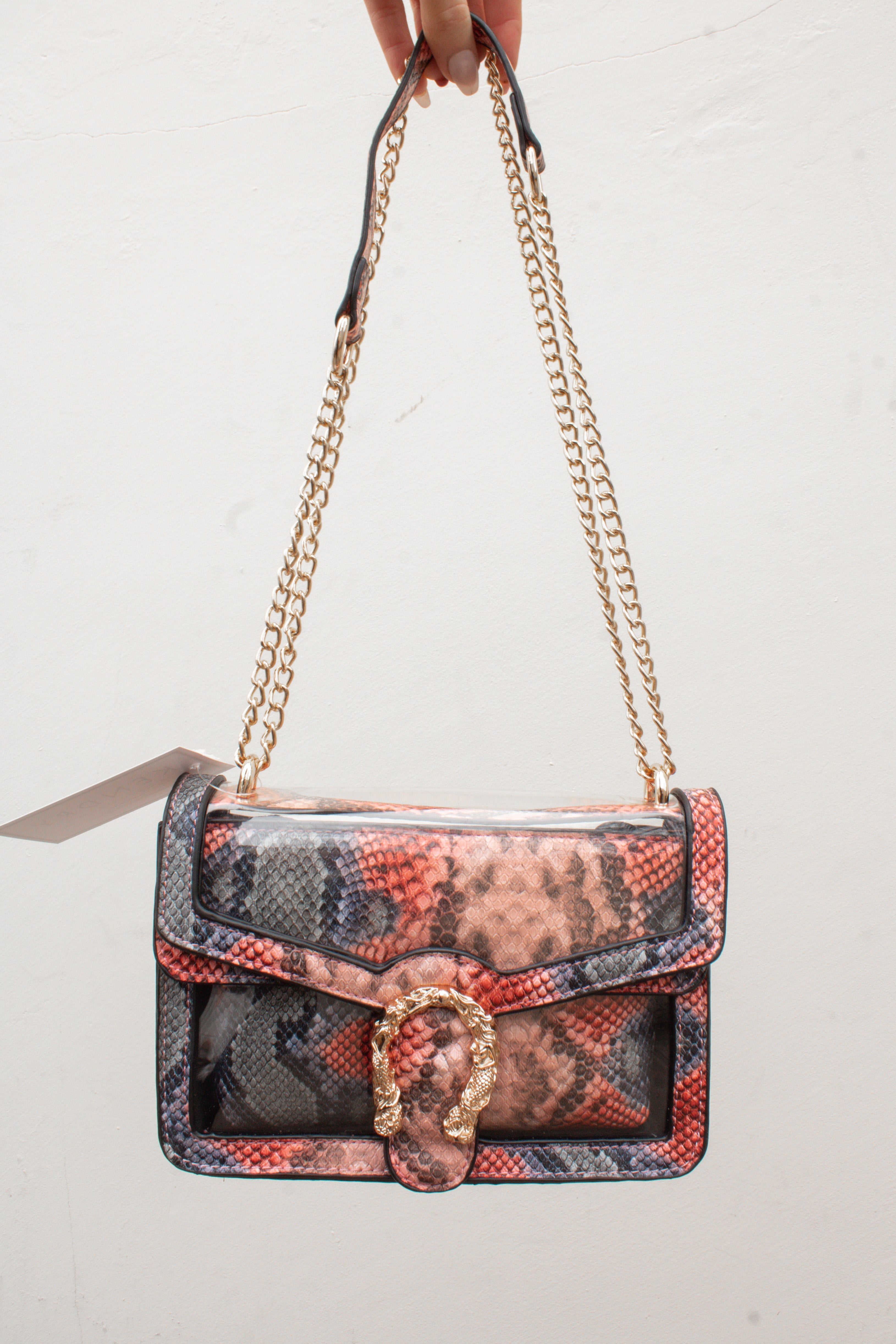 Python Print Clear Crossbody Bag